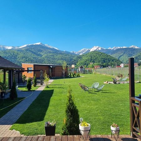 Готель Casa Iarina Статіунеа-Кліматеріка-Самбата Екстер'єр фото