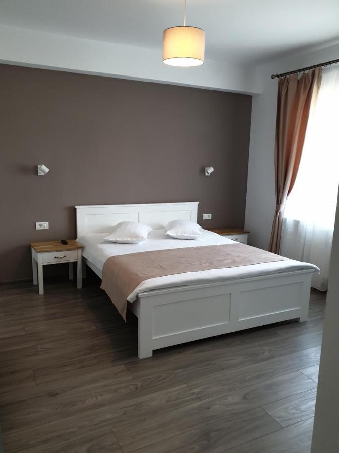 Готель Casa Iarina Статіунеа-Кліматеріка-Самбата Екстер'єр фото